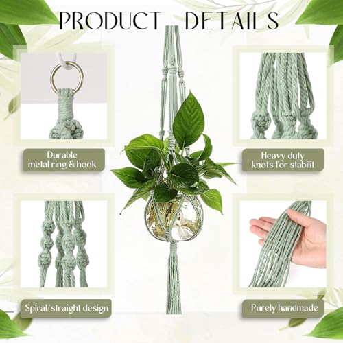 Colingmill 6 Pcs Plastic Plant Propagation with Boho Macrame Hanger Wall Plant Propagation Station Hanging Holder Include Hooks Kit for Indoor Home Garden Office Decor 3 Size (Sage Green) - color: Sage Green
