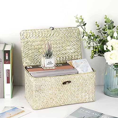 Hipiwe Wicker Shelf Baskets Bin with Lid, Large Natural Seagrass Basket Storage Bins Handwoven Rectangular Household Basket Boxes for Shelf Wardrobe Home Organizer and Decor, Whitewash - color: Whitewash, size: Large