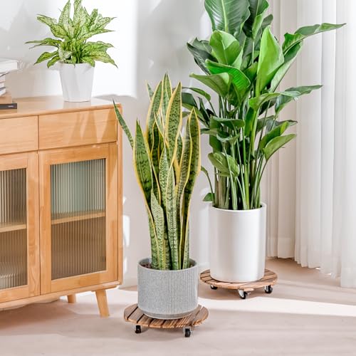 Bamworld Plant Stand Outdoor Rolling Tray Plant Caddy with Wheels 12in Plant Caster with Wheels Planter Caddy Flower Cart Plant Dolly for Heavy Duty Large Plants Plant Rollers (2 Pack ) - size: 12inch-2 pack