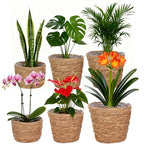6 Pcs Plant Baskets Indoor with Plastic Liners, Wicker Hand Woven Plant Baskets, Flower Pots Storage Containers in 3 Sizes, Decorative Planters for Home, Balcony, Office
