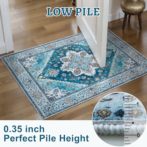 Tangsoo Blue 2x3 Washable Rug for Entryway, Vintage Non Slip Small Area Rug, Indoor Front Door Rug, Print Door Mat Small Carpet, Soft Low Pile Rugs for Entrance Kitchen Bedroom Home Decor - color: Sky Blue, size: 2' X 3' (Rectangular)