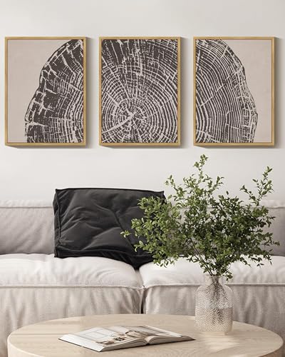 PHOPAGO Farmhouse Vintage Framed Wall Art Set Gray Wood Tree Ring Spirals Nature Abstract Drawings Rustic Modern Art Decor for Living Room Bedroom - 11x14in Natural Framed - color: Oak Tree Ring, size: 11" x 14" x 3 Pcs Natural