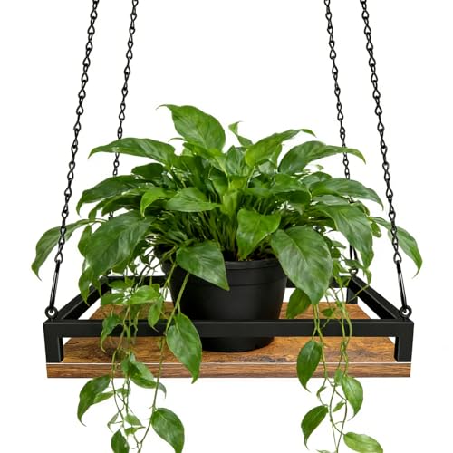 Plant Hanger Indoor, 11.8" Wooden Hanging Plant Holder with Metal Frame Hanging Planter for Indoor Plants Load 50LB Hanging Plant Shelf with 27.6" Long Chain, Ideal for Heavier Pots Window Ceiling - size: Small