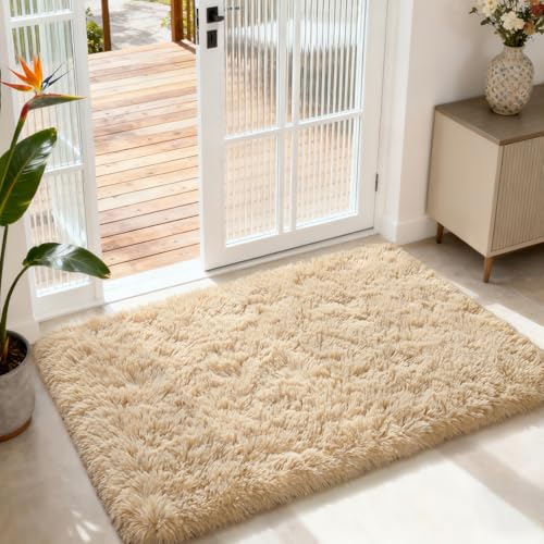 Merelax Modern Soft Fluffy Small Shaggy Rug for Bedroom Livingroom, Soft Non-Slip Kids Room Entryway Throw Rugs, Plush Furry Fur Area Rugs Comfy Nursery Accent Floor Carpet 2x3 Feet, Beige - color: Light Tan, size: 2' x 3' (Rectangular)