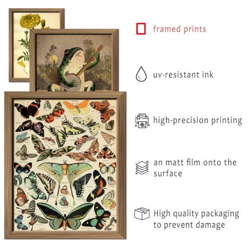 ANERZA 16 PCS Framed Vintage Wall Art Decor, Botanical Cottagecore Wall Prints for Bedroom, Gallery Wall Frame Set, Farmhouse Posters for Living Room Aesthetic, Rustic Dorm Home Collage Kit - color: Drab, size: 12"x15" Framed