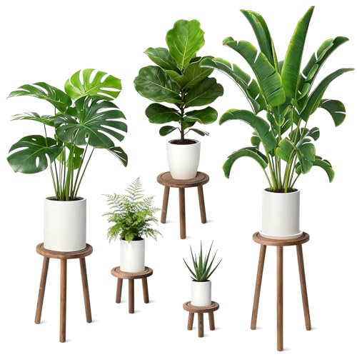 5-Pack Wood Plant Stands Indoor, Single Plant Stand for 6-22 Inch Pots, Mid-Century Modern Plant Stool, Tall Plant Stand for Large Plants Perfect Fit for Living Room, Balcony, Office(Dark Brown) - color: Dark Brown