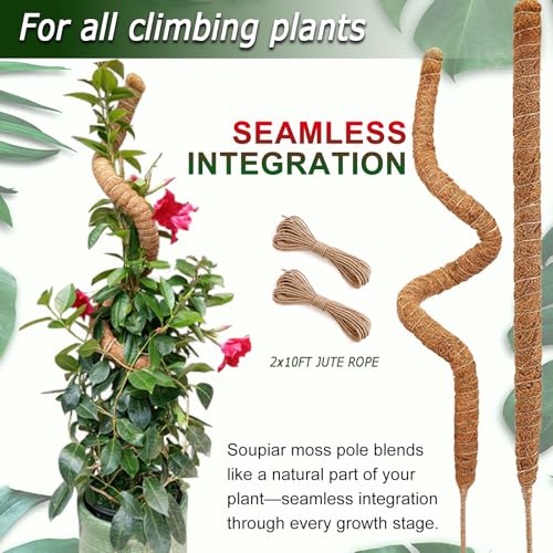 2 Pack 48'' Bendable Moss Pole for Monstera & Pothos - Tall Handmade Coco Coir Plant Support Stakes for Large Climbing Indoor Plants, Potted Houseplant Trellis Accessories - color: 2×48 Inch