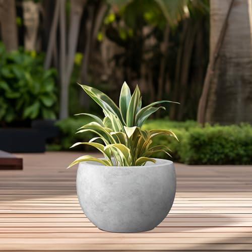 Kante 15.7" Dia Round Concrete Planter, Outdoor/Indoor Large Bowl Plant Pots with Drainage Hole and Rubber Plug for Garden Patio Balcony Home, Natural Concrete - color: Natural Concrete, size: 15.7" d
