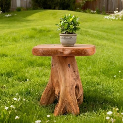 Small Side Table, Freeform Live Edge Wood Stool, Unique Design Natural Plant Stand for Patio, Garden, Yard, Living Room, Bedroom - size: 14"D x 13"W x 14.5"H