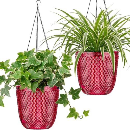 QCQHDU Hanging Planters for Indoor Plants, 2-Pack, 5.7 Inch, Red | Plastic, Self Watering Plant Hanger, with Drainage Holes, 3 Hooks Chains, For Garden Home - color: Red, size: 5.7in