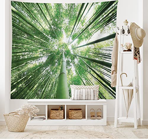 Ambesonne Forest Tapestry, Tropical Rain Forest Tall Trees in Exotic Style Nature Theme Image Sky from Woodland, Wide Wall Hanging for Bedroom Living Room Dorm, 60" X 40", Green - color: Green, size: 60"L x 40"W