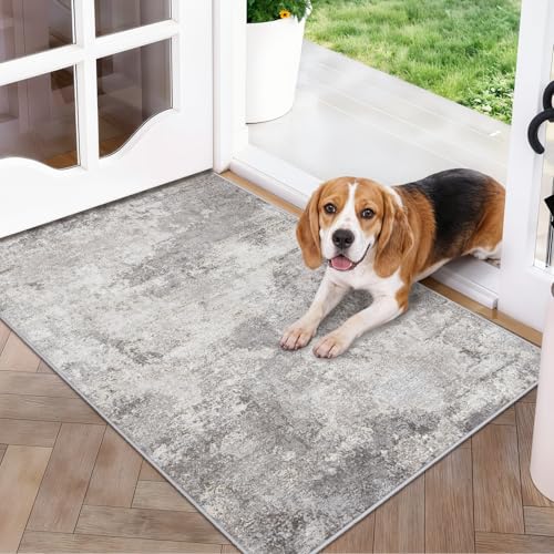 Modern Abstract 2x3 Rug Washable Non-Slip Small Area Rug for Bathroom Sink Kitchen Bedside - Soft Low-Pile Doormat for Entryway Laundry Room Decor 2x3 Grey - color: Grey01, size: 2' x 3' (Rectangular)