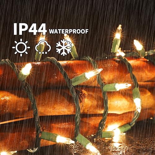 LAMPHOME 100 Count Clear Christmas Lights - 20 ft Ultra Bright White String Lights with Green Wire for Indoor and Outdoor Use, Christmas Trees, Holidays Party Patio Wedding and Garden - color: Clear