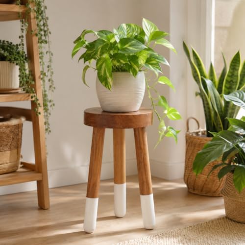 Teak 11.8" Round Dip Dyed Teak Stool | Wood Accent Side Table | Wood Plant Stand (20" Tall White) - color: 20" Tall White