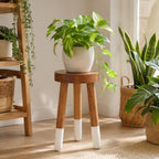 Teak 11.8" Round Dip Dyed Teak Stool | Wood Accent Side Table | Wood Plant Stand (20" Tall White) - color: 20" Tall White
