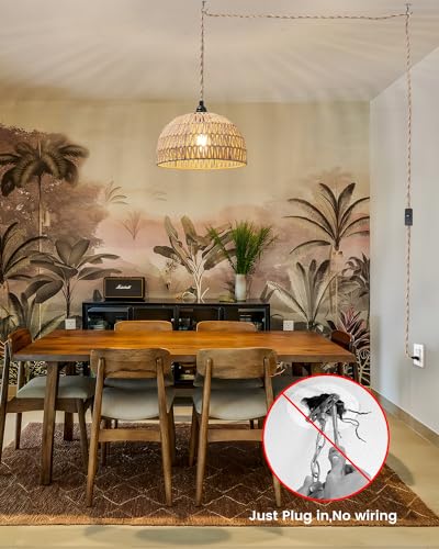 Rattan Hanging Lamp,Boho Pendant Lights,Plug in Cord Hanging Rattan Light,Plug Into Wall Outlet Pendant Light Fixture On/Off Switch for Living,Dinner Room,Bedroom,Kitchen,for E26,without Bulb - size: 11.81'' x 6.49''