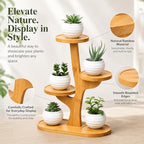 5 Tiered Desk Plant Stand Bamboo Tree Plant Shelf Tabletop Succulent Herb Stand Desktop Plant Stand Indoor Plant Rack for in Living Room Office Decoration (5 Tiered) - size: 5 Tiered