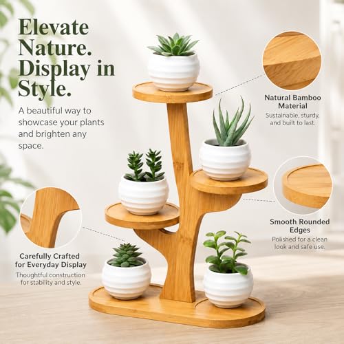 5 Tiered Desk Plant Stand Bamboo Tree Plant Shelf Tabletop Succulent Herb Stand Desktop Plant Stand Indoor Plant Rack for in Living Room Office Decoration (5 Tiered) - size: 5 Tiered
