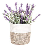 2pack Small Hanging Basket-Cotton Rope Wall Basket with Handle, Hanging Storage Baskets, Shelf Baskets Storage Bin Closet Organizer 6"×6.3", Woven Plant Basket - (White & Brown) - color: White & Brown