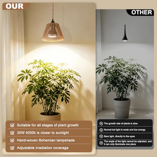 Hanging Grow Light, 30W LED Lamp with Timer for Indoor Plants | 4000K LED plant lamp with 15 ft cord, outlet timer, and boho paper rope shade for succulents, herbs, and low-light rooms. - color: Cone