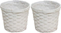 Admired By Nature Set of 2 White Bamboo 6" w/Soft Liner Bambo Pot
