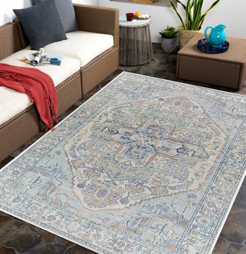 Grey Distressed Vintage Medallion Washable Area Rug for Living Room Dining Kitchen Bedroom Nursery Playroom Traditional Carpet 2x3 Boho Antiqued Non Slip Large Indoor Carpet Bathmat - color: C, size: 2x3ft