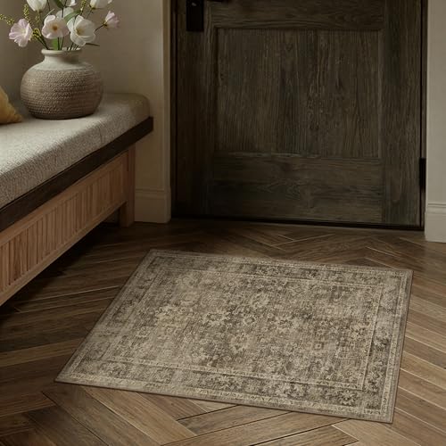 HUGEAR 2x3 Entryway Rug Brown Machine Washable Rug Room Decor Vintage Distressed Small Area Rugs Indoor Door Mat Low Pile Non Slip Carpet for Kitchen Living Bedroom Soft Lightweight - color: A| Brown, size: 2' x 3' (Rectangular)