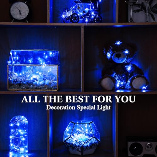 Hortsun 100 Packs Fairy Lights Battery Operated 3 Speed Modes, 7 Ft/ 2 M 20 LED Battery String Mini Waterproof Wire Twinkle Lights Bulk for Wedding Party Birthday Vases Decor (Blue Light) - color: Blue Light