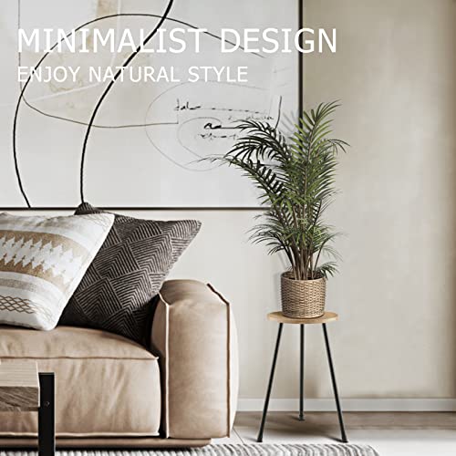 KINNARY Tall Plant Stand, Mid Century Wood Indoor Plant Stand Plant Table for Flower Pots, Metal Plant Holder, Modern Home Decor Small Round Side End Table (11.8"x20") - color: Light wood 11.8"x20"