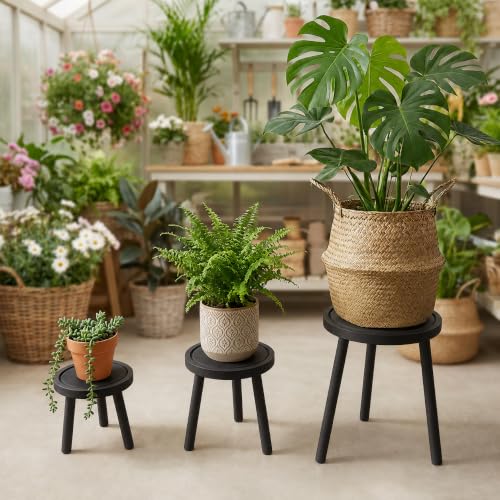 Amdermi 3-Pack4-pack Wood Plant Stands Indoor, Single Plant Stand for 6-12 Inch Pots, Mid-Century Modern Plant Stool, Tall Plant Stand for Large Plants for Living Room, Balcony, Office (3, black) - color: black