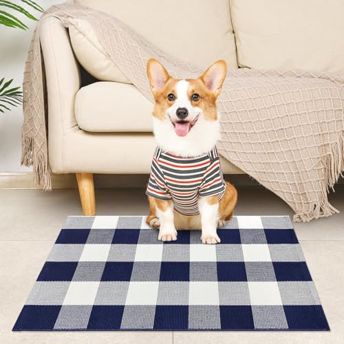 Buffalo Plaid Outdoor Rug 2 x 3 Navy and White Cotton Checkered Rug, Front Door Mat Washable Small Throw Rug for Outdoor Indoor Kitchen Entryway Patio Bathroom Farmhouse Decor Area Rug - color: Navy and White, size: 2‘×3’