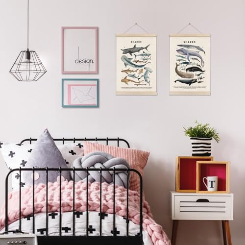 DOI-LANEE Shark Poster Hanger Frame, Set of 2 Shark Canvas Wall Art 16x12 Inch, Kids Educational & Learning Posters, Ocean Room, Sea Animal Decor for Playroom Classroom, Ocean Animals Wall Decor - color: Off-White04