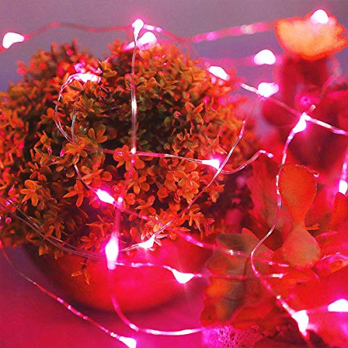 Ariceleo Led Fairy Lights Battery Operated, 2 Packs Mini Battery Powered Copper Wire Starry Fairy Lights for Bedroom, Christmas, Parties, Wedding, Centerpiece, Decoration (5m/16ft Red) - color: Red, size: 2 Pack