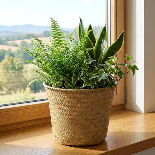 Seagrass Woven Basket 7.48X7.48X6.29In Multi-Functional Storage Organizer for Bedroom Bathroom Desktop Decorative Wastebasket and Plant Pot