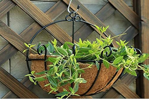 Pack of 2 pcs 12 Inch Half Round Coco Liners Hanging Basket 100% Natural Replacement Coconut Fiber Liner for Garden Flower Pot Vegetables Herbs - size: 12 Inch Half Round