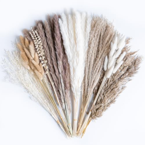 130PCS Natural Dried Pampas Grass Boho Home Decor Bouquet Phragmites Dried Flowers Bouquet for Wedding Floral Arrangements Living Room Decorations (130PCS) - size: 130 Pcs