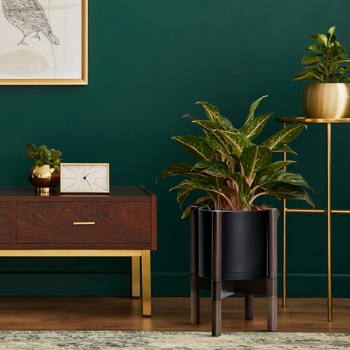 D'vine Dev Planter Pot with Stand - 8 Inch Plastic Cylinder Flower Pot with Wood Planter Holder for Indoor, Matte Black Pot + Walnut Color Stand, 55-C-I-2 - color: Matte Black Pot + Walnut Color Stand, size: 8 Inch
