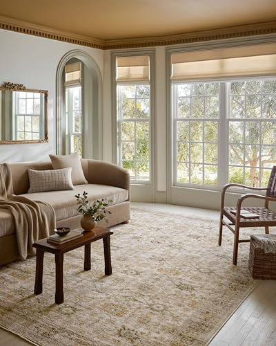 Loloi Magnolia Home by Joanna Gaines Pace Collection PAC-04 Natural/Multi 7'-10" x 10' Area Rug - color: Natural / Multi, size: 7'10" x 10' (Rectangular)