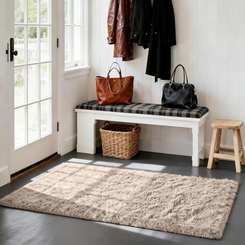 Fluffy Rug Shag Area Rug, Beige 2x4 Area Rugs for Bedroom, Small Bedside Rug, Soft Fluffy Shag Entryway Throw Rugs for Living Room Bedroom Room Home Decor - color: Beige, size: 2' x 4' (Rectangular)