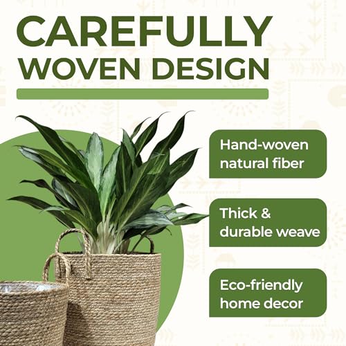 Set of 2 Woven Seagrass Planter Baskets with Handles – Handwoven Plant & Flower Pots for Indoor or Outdoor Use, Natural Straw Storage Baskets for Laundry Room, Living Room & Home Decor - size: Set of 2 (with handles), style: With handles