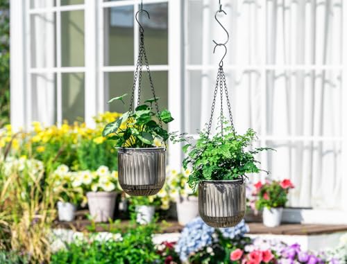 Josteve 5.2 Inch 2 Pcs Self Watering Hanging Planter Indoor Plant Pots Drainage Holes, Outdoor Small Hanging Planters Flower Pot Basket, Visible Water Level, Plant Hanger Home Decor, Gardening - color: Gray, size: 2*5.2 inch