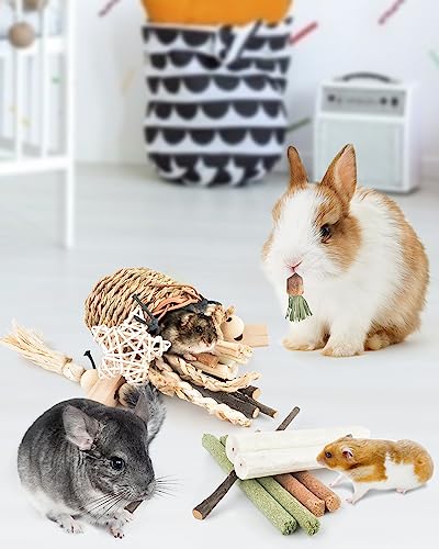 Bissap Bunny Chew Toys, Natural Seagrass Hanging Basket Chews Water Plant Woven Chinchillas Chewing Treats for Rabbits Guinea Pigs Chinchillas Hamsters Rats and Other Small Pets Teeth Grinding Toy - style: Modern
