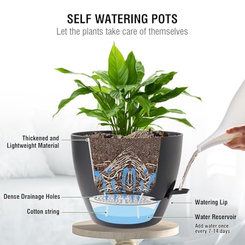 Meowell 10 inch Self Watering Hanging Planters, 2 Pack Hanging Baskets for Indoor Outdoor Plants, Hanging Flower Pots with Drainage Holes & 2 Kinds of Plant Hangers for Garden Home Decor, Black - color: Black