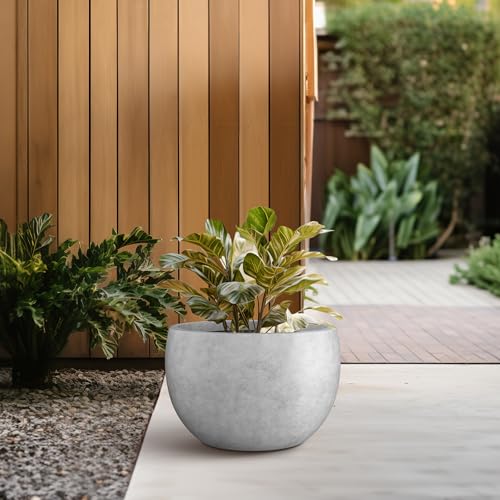 Kante 11.8" Dia Round Concrete Planter, Outdoor/Indoor Large Bowl Plant Pots with Drainage Hole and Rubber Plug for Garden Patio Balcony Home, Natural Concrete - color: Natural Concrete, size: 11.8" d