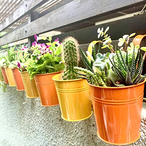LaLaGreen Railing Planter - 10 Pack, 4 Inch Hanging Wall Herb Planters for Outdoor Plants Orange Metal Hanging Flower Pot Yellow Deck Planters Outdoor Rail Garden Balcony Porch Macetas Colgante Pared - size: 4 Inch (Orange/Yellow)