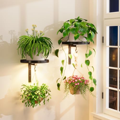 iDavosic.ly Wall Plant Holder with Grow Lights Set of 2 for Indoor Outdoor, Metal Hanger with 2 Hooks, Floating Flower Display Stand for Window, Space Saving & Easy to Assemble (Pots Not Included) - color: Black with 2 Lights, size: 2 Pack