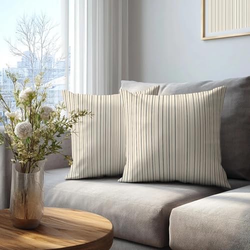 Pinstripe Throw Pillow Covers 18x18 Set of 2 | Black Beige Decorative Cushion Covers | Neutral Farmhouse Pillow Cases for Couch Sofa Bed Living Room - color: Ticking Stripe