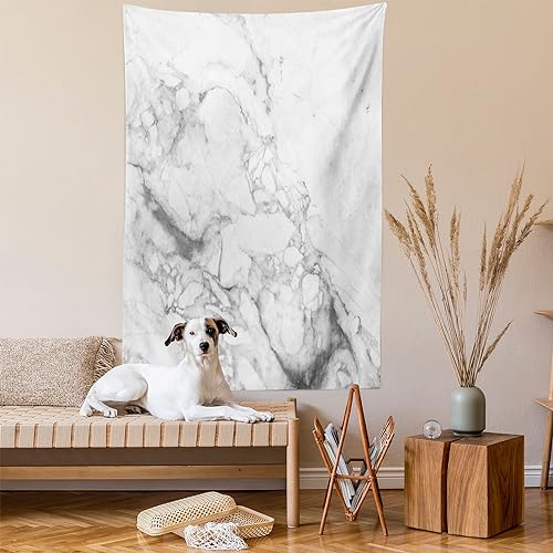 Ambesonne Marble Print Tapestry, Old Fashion Grungy Cultured Marbling Motif Formation Lines Retro Design, Wall Hanging for Bedroom Living Room Dorm Decor, 40" X 60", White Grey - color: White Grey, size: 60"L x 40"W