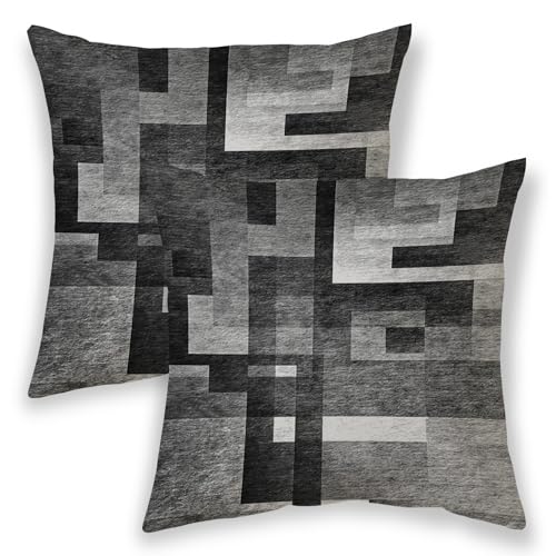 BETGINY Black White Grey Pillow Covers 22x22, Abstract Art Outdoor Decorative Throw Pillows for Couch, Modern Geometry Decor Cushion Cover 2 Pcs Soft Farmhouse Square Pillowcase for Bed Car Safa - color: Black, size: 22" x 22" (Pack of 2)