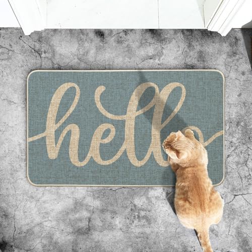Artoid Mode Blue Hello Winter Doormat, Christmas Home Decor Low-Profile Switch Rug Door Mat Floor Mat for Indoor Outdoor 17x29 Inch - color: Blue, size: 17" x 29"